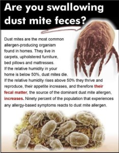 Dust mites and allergy treatments available